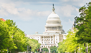 Capitol building in daylight